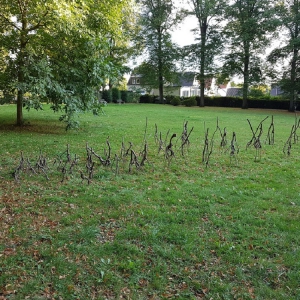 YPSILONTEN, Brigitte Riechelmann