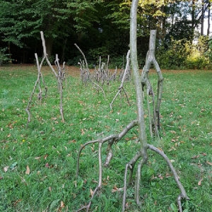 YPSILONTEN, Brigitte Riechelmann