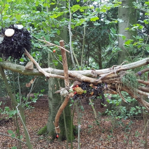 Windfee, Kunsthaus im Rosental