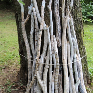 Driftwood Nr. 2, Saine Tusche