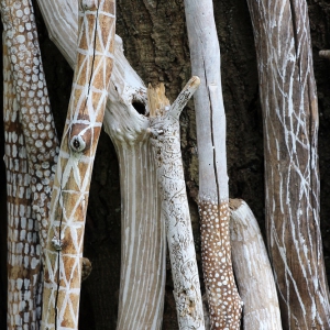 Driftwood Nr. 2, Saine Tusche