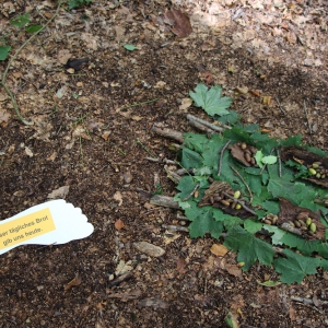 Vater unser im Himmel, Helga Feller mit Konfi Gruppe Ruth Knebel