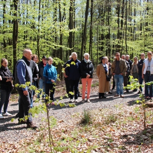 30.4.17 Baumspaziergang durch die Anlagen M. Imig