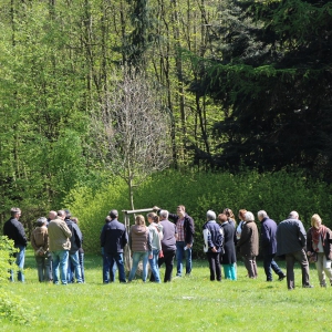 30.4.17 Baumspaziergang durch die Anlagen M. Imig