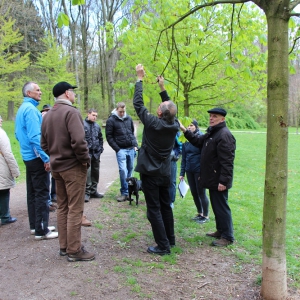 22.4.17 Bäume der Erkenntnis H. Wischnitzki