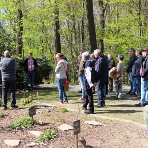 30.4.17 Baumspaziergang durch die Anlagen M. Imig