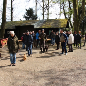 26.4.17 Ein kleiner Wald in Ronsdorf mit großer Wirkung Förster J. Frieg