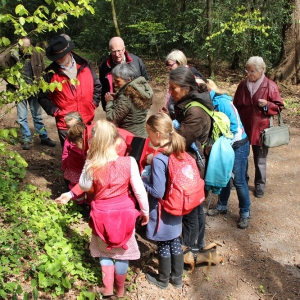 29.4.17 Wald- und Wiesenexkursion K. Windgassen