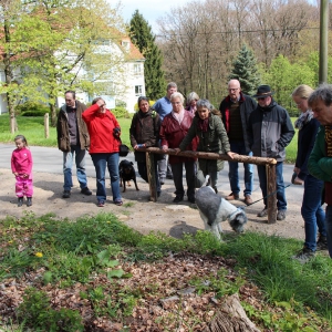 29.4.17 Wald- und Wiesenexkursion K. Windgassen