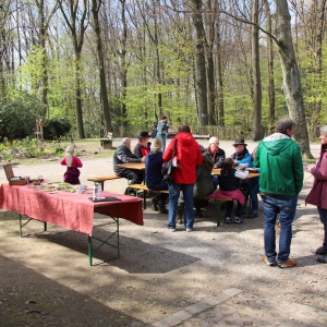 29.4.17 Wald- und Wiesenexkursion  K. Windgassen