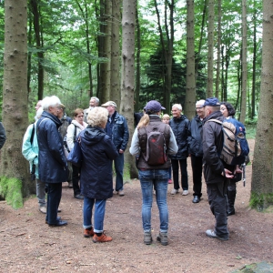 Wildwald Vosswinkel