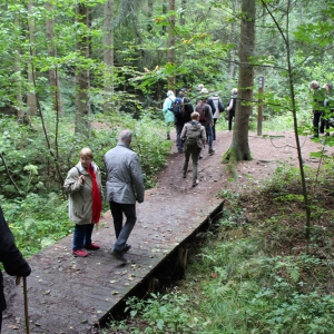 Wildwald Vosswinkel