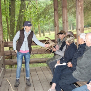 Wildwald Vosswinkel